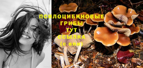 кокс Лагань