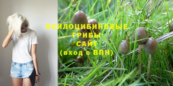 кокс Лагань
