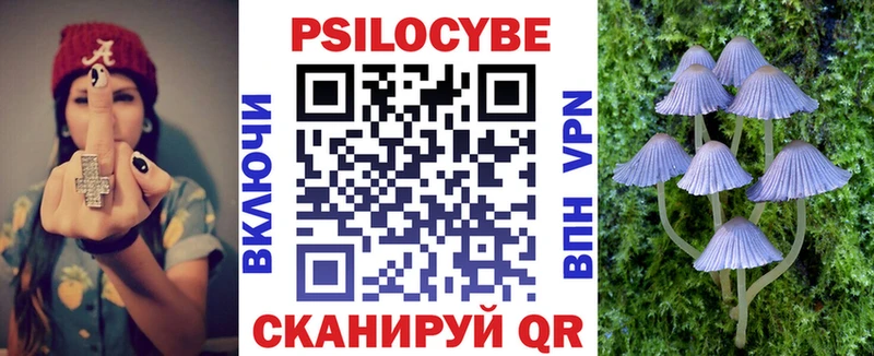 Галлюциногенные грибы Cubensis  Купить где  Узловая 